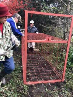 %e3%82%a4%e3%83%8e%e3%82%b7%e3%82%b7